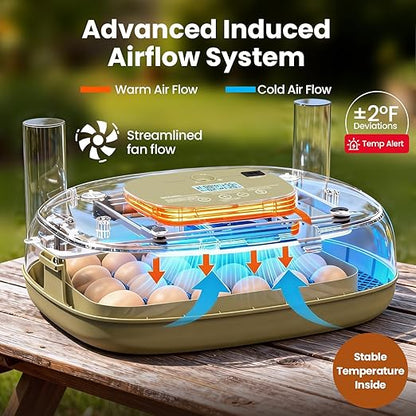 Incubators for Hatching Eggs, 24 Eggs Capacity - Image 2