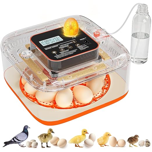 Incubators for Hatching Eggs 12 Egg Digital Egg Incubator Precision Auto Temp by Unknown