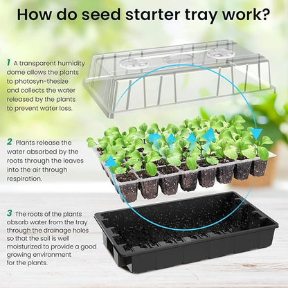 MIXC Seed Starter Tray with Lights, 2 Packs Mini Propagator Plant Grow Kit - Image 5