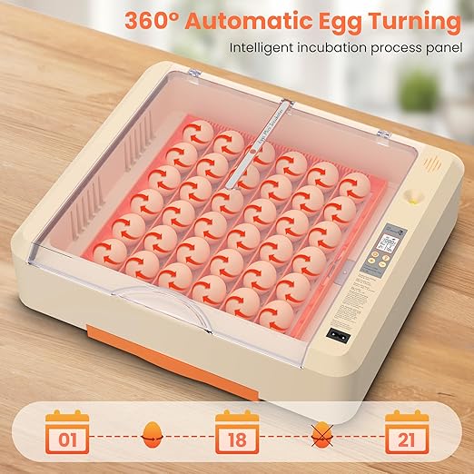 36-60 Egg Incubator with Automatic Egg Turning and Humidity Control, Adjustable - Image 3