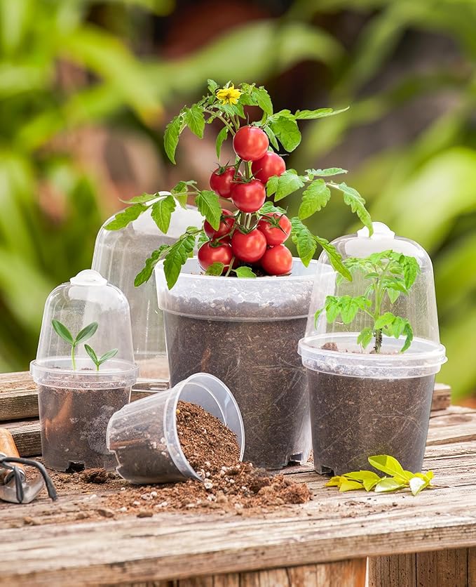 homenote Clear Nursery Pots for Plants, 3 Inch Plant Pot for Planting - Image 2
