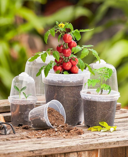 homenote Clear Nursery Pots for Plants, 4 Inch Plant Pot for Planting - Image 2