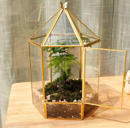 ELEGANTLIFE Glass Geometric Plant Terrarium, Succulent & Air Planter - Image 3