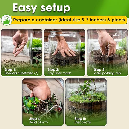 DUSPRO Recycle Terrarium Kit, Include Potting Soil, Sphagnum Moss, Decorative - Image 4