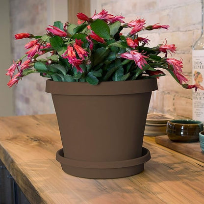 Bloem Terra Resin Saucer Tray: 6.5" Bottom Width - Image 4