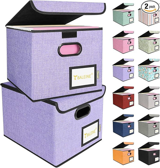 BALEINE File Organizer Box by BALEINE