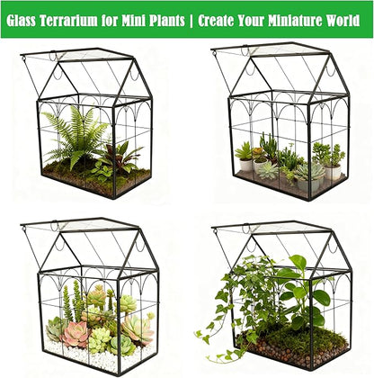 ELEGANTLIFE Glass Geometric Plant Terrarium, Succulent & Air Planter - Image 3