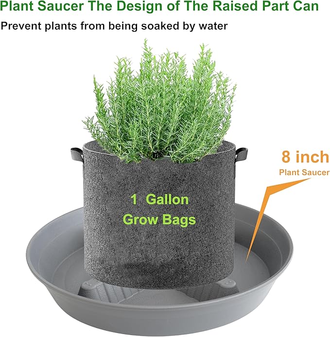 4 Pack Plant Saucer 8 inch, 10 12 14 17 inch, Plant Stand Plastic Plant Saucers - Image 4
