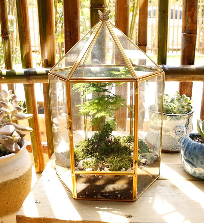 ELEGANTLIFE Glass Geometric Plant Terrarium, Succulent & Air Planter - Image 2