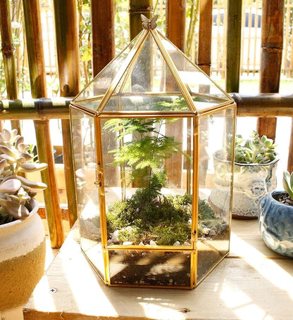 ELEGANTLIFE Glass Geometric Plant Terrarium, Succulent & Air Planter - Image 2
