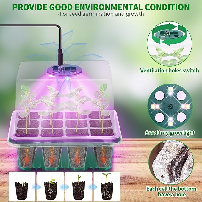 Seed Starter Tray with Plant Light, 2 Pack Grow Lights - Image 2