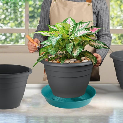 4 Pack Plant Saucer 10 inch, 8 12 14 17 inch, Plant Stand Plastic Plant Saucers - Image 5