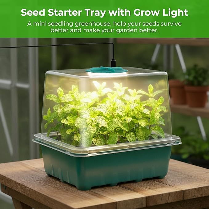 Seed Starter Tray with Grow Light, Covers Height 3.9", Indoor Seedling Starter - Image 7