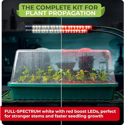 CARPATHEN Seed Starter Tray Kit - Image 2