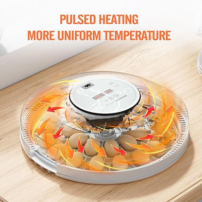 MeeF incubators for Hatching 28 Eggs, Independent atomizing humidifier - Image 6