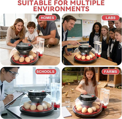 Simple Plus 12-Egg Incubator for Beginners, Full-Stage Adaptive Humidity & Temp - Image 8