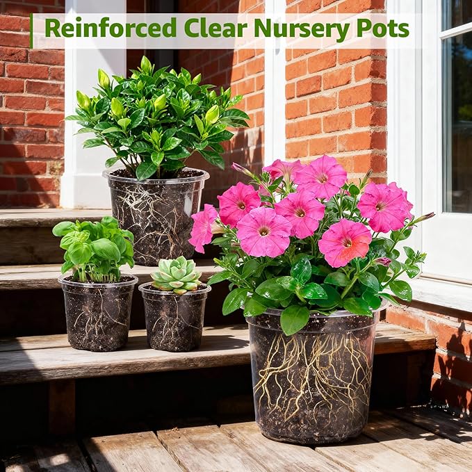 MIXC Clear Nursery Pots with Drainage Holes, 7/5/4 Inch Reinforced Transparent - Image 6