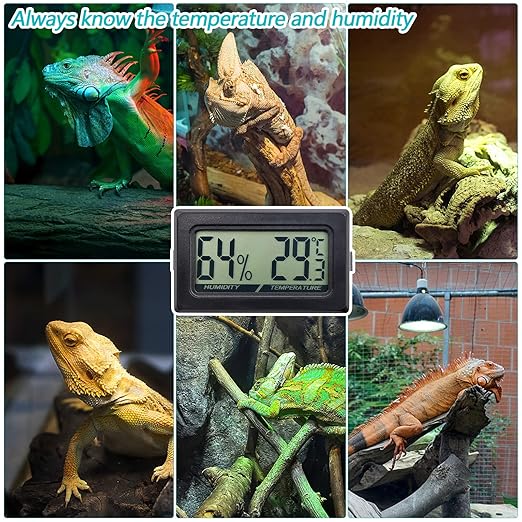 Digital Probe Thermometer Hygrometer - Image 6