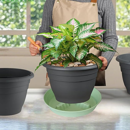 4 Pack Plant Saucer 8 inch, 10 12 14 17 inch, Plant Stand Plastic Plant Saucers - Image 5