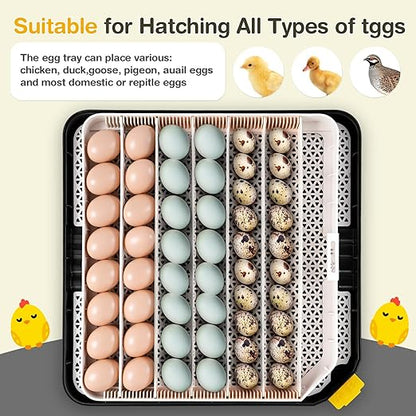 Sailnovo 48 Egg Incubator for Hatching Eggs - Image 7