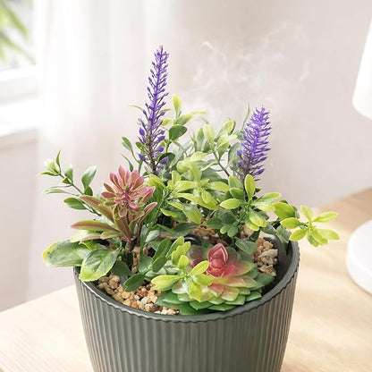 Earnest Living Essential Oil Diffuser Ceramic Artificial Succulent Plants - Image 2