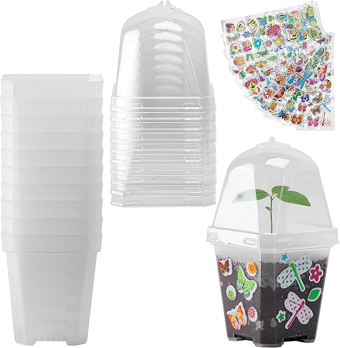 EBaokuup 10 Pack Clear Plant Nursery Pots by EBaokuup