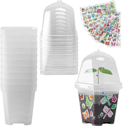 EBaokuup 10 Pack Clear Plant Nursery Pots by EBaokuup