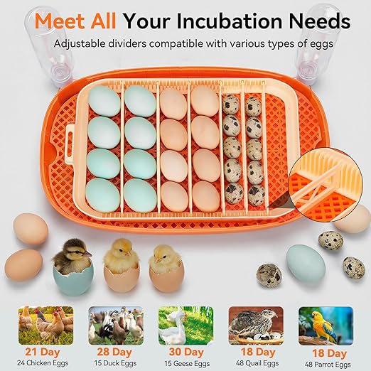 Incubators for Hatching Eggs, 24 Egg Incubator, Automatic Egg Turner - Image 7