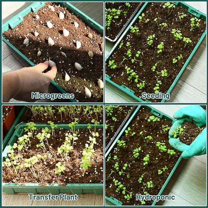 YoleShy 5 Packs Seed Starter Tray - Image 4
