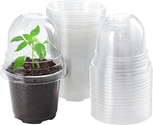 30 Packs 4 Inch Reinforced Clear Nursery Pots by Bluepro