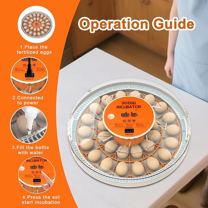 30 Egg Incubator with Automatic Egg Turning and Humidity Control, 360 Degree - Image 6