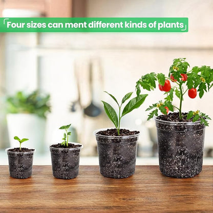 36 Packs 7/5/4/3.5 Inch Reinforced Clear Nursery Pots - Image 6