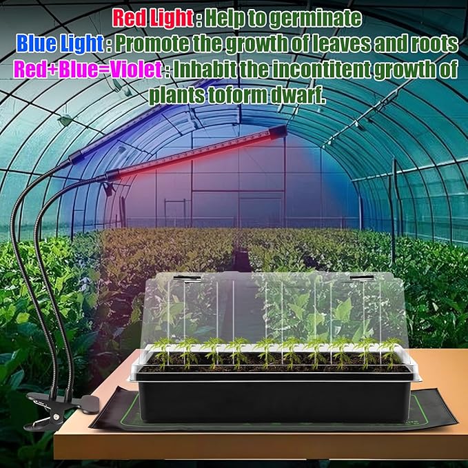 Seed Starter Tray with Grow Lights – 4 Pack Seedling Trays with 5" Humidity - Image 5