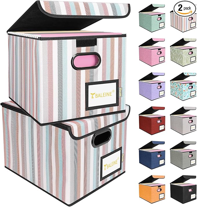 BALEINE File Organizer Box by BALEINE