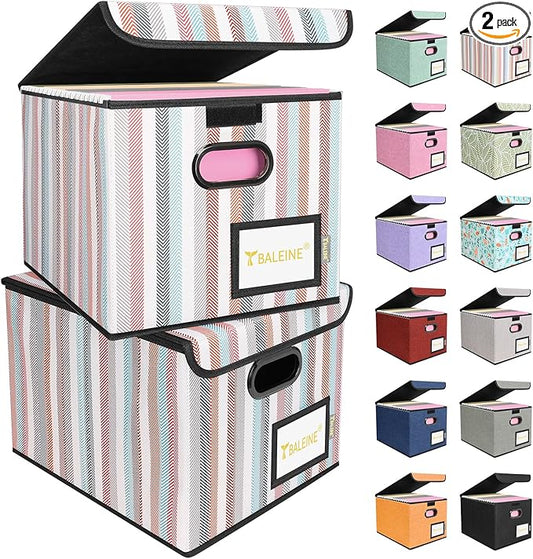 BALEINE File Organizer Box by BALEINE