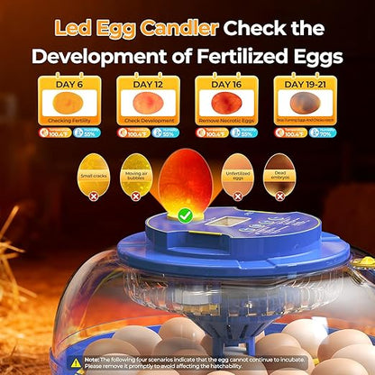 18 Egg Incubators for Hatching Eggs, 360° View - Image 6