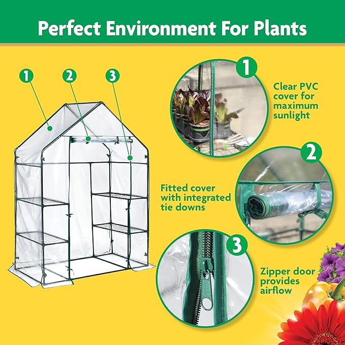 Miracle-GRO 4'8" x 29" x 6'5" Outdoor Mini Walk-in Greenhouse Plant Tent - Image 3