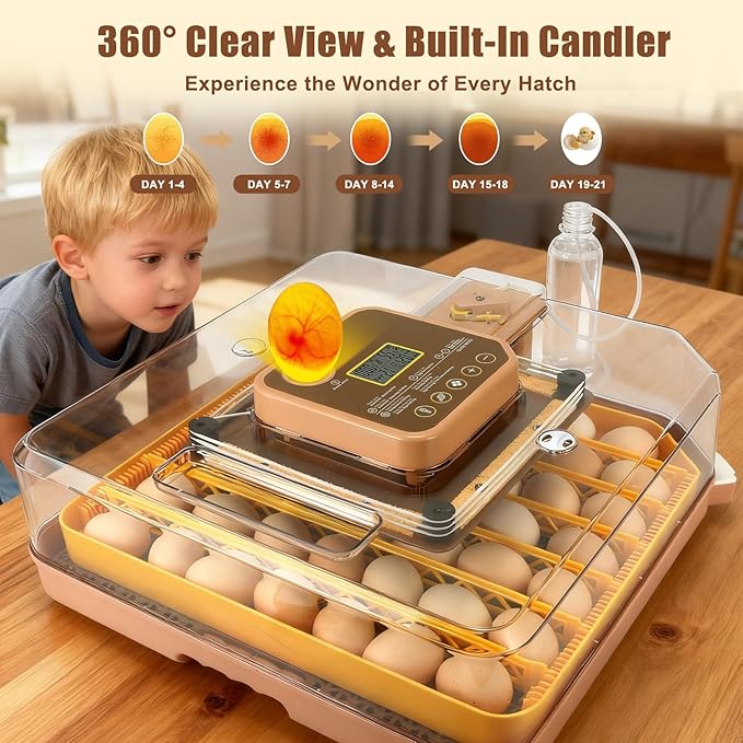 Master 48 Egg Incubator for Breeders, Fully Automated, Accurate Humidity & Temp - Image 3