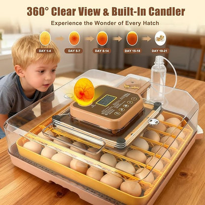 Automatic 48-Egg Incubator for Breeders, Sensor-Based Precise Humidity & Temp - Image 7
