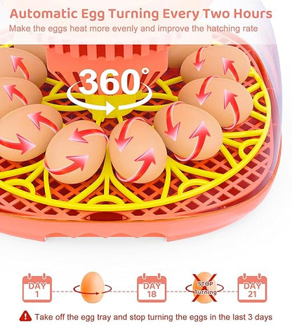 12 Egg Incubator for Hatching Eggs, Smart Temperature and Humidity Control - Image 3