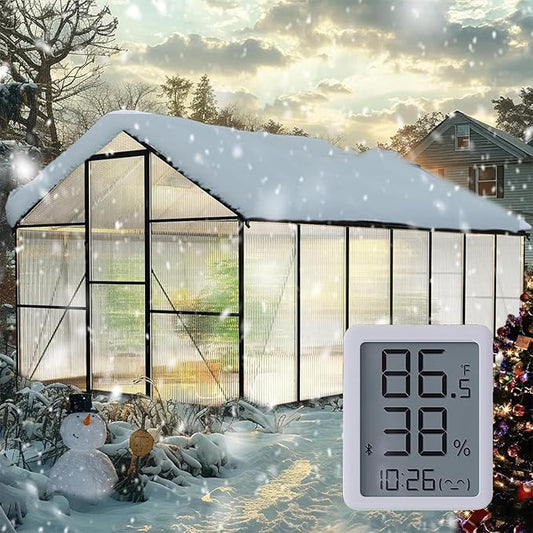 8×14FT Green Houses for Outside, Walk in Greenhouse for Outdoors and Garden by WUKHG
