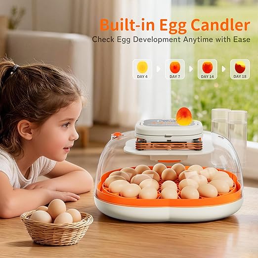25 Egg Incubator, Extra-Large Interior - Image 6