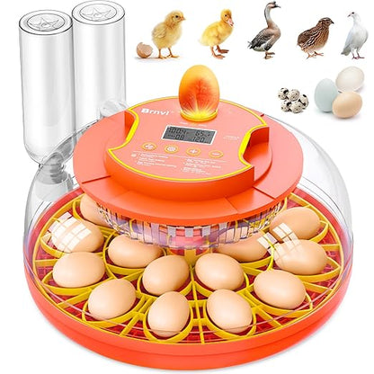18 Egg Incubator with Automatic Egg Turning, Digital Temperature Humidity by Brnvl