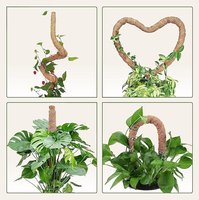 Moss Pole Monstera Plant Support – 48” Bendable Moss Pole Monstera Plant Support - Image 6