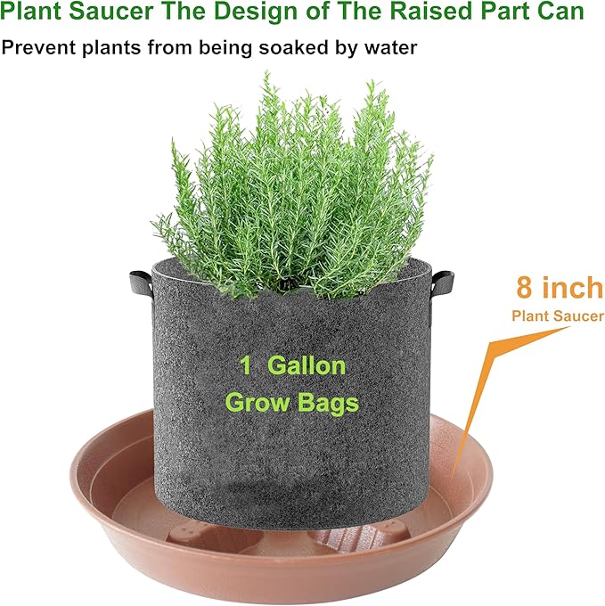 4 Pack Plant Saucer 8 inch, 10 12 14 17 inch, Plant Stand Plastic Plant Saucers - Image 4