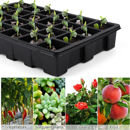 4 Pack 24-Cells Seed Starter Tray Kit Germination Tray - Image 7