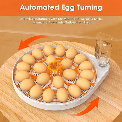 Incubators for Hatching Eggs, 22 Eggs Smart Incubator - Image 6