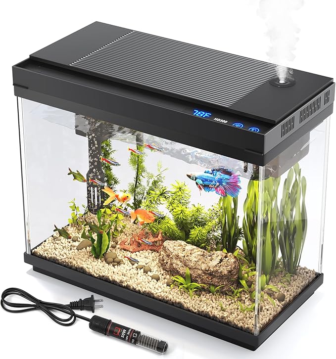 Fish Tank 2.4 Gallon Aquarium by VEHIPA