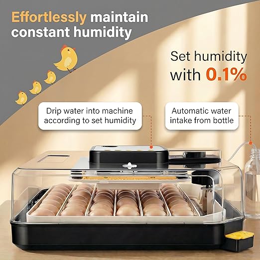 Sailnovo 48 Egg Incubator for Hatching Eggs - Image 2