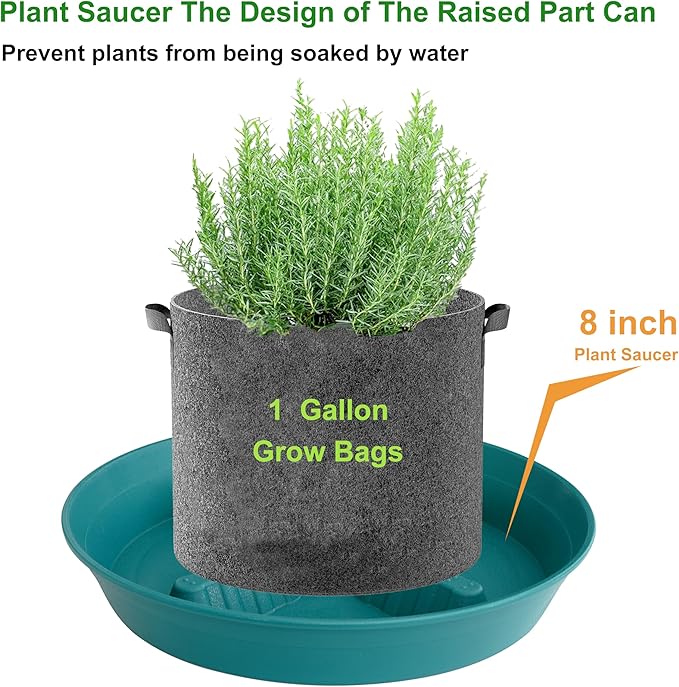 4 Pack Plant Saucer 8 inch, 10 12 14 17 inch, Plant Stand Plastic Plant Saucers - Image 4